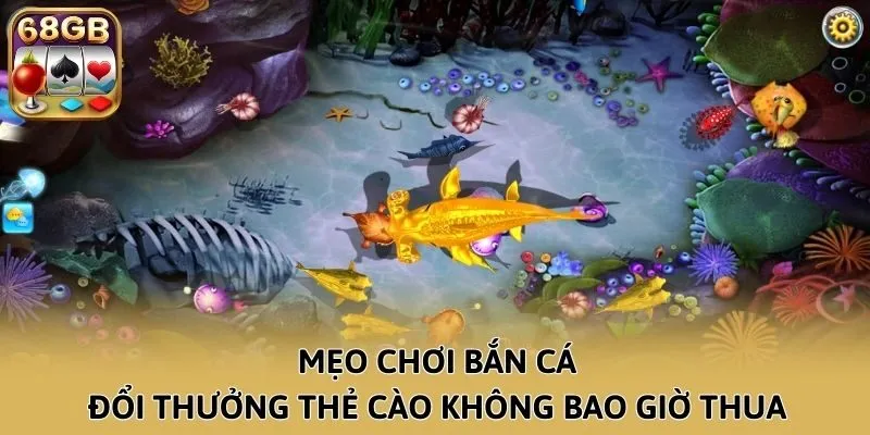 Mẹo chơi Bắn Cá đổi thưởng thẻ cào không bao giờ thua
